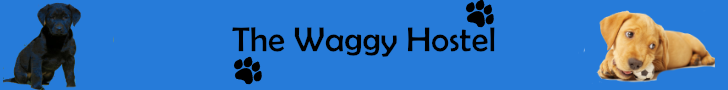the waggy hostel